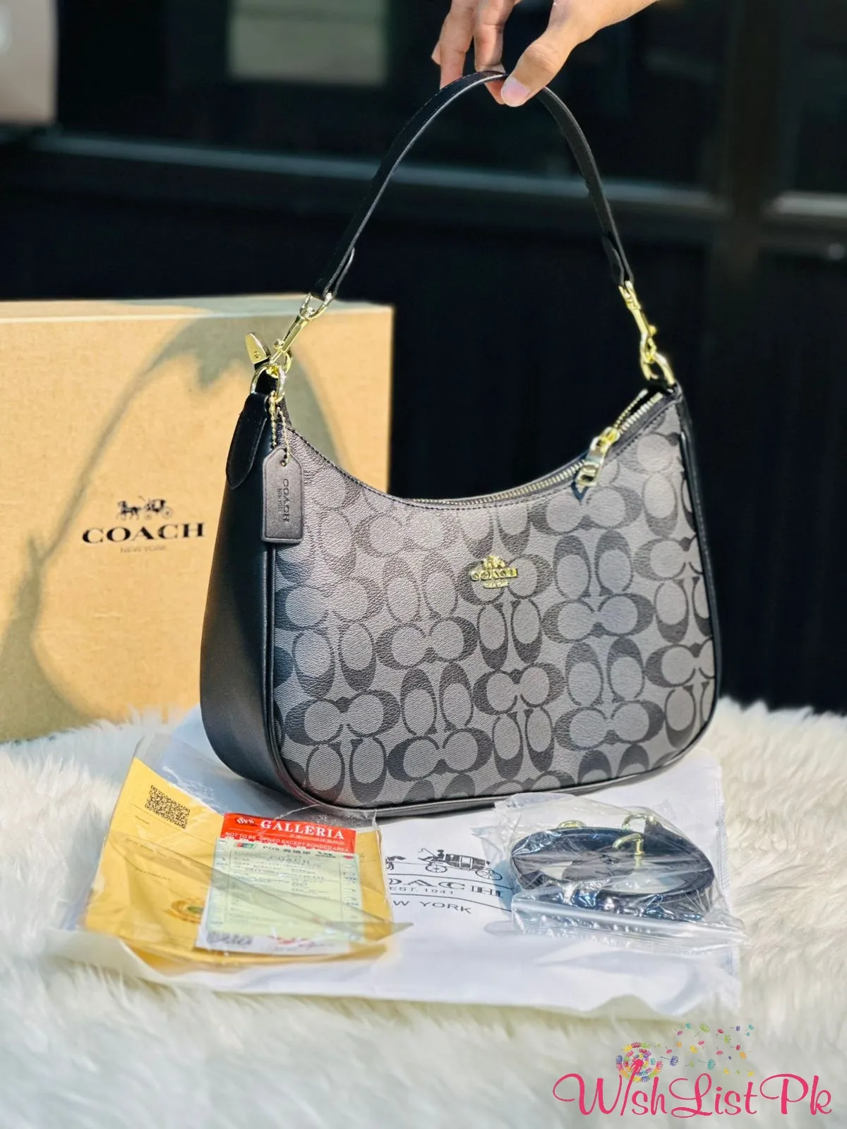 Coach Hobo Bag 