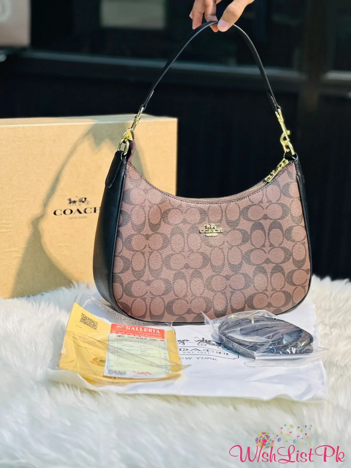 Coach Hobo Bag 