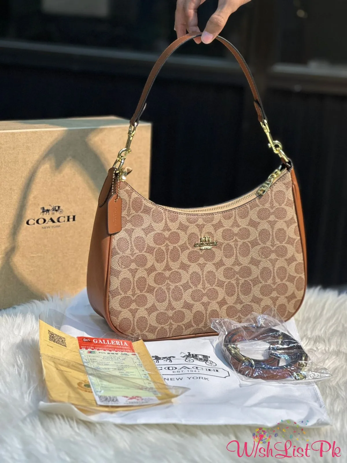 Coach Hobo Bag 
